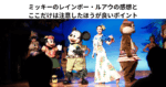 ミッキーのレインボー・ルアウの感想とここだけは注意したほうが良いポイント