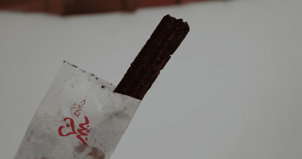 志摩スペイン村　チュロス