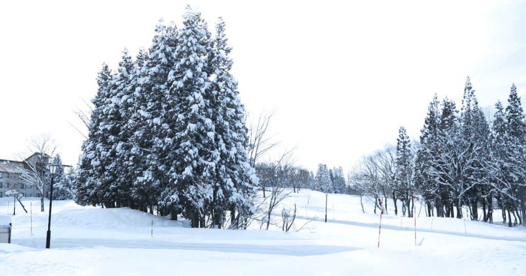 ベルナティオ　雪景色