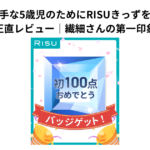引き算が苦手な5歳児のためにRISUきっずを使ってみた正直レビュー｜繊細さんの第一印象